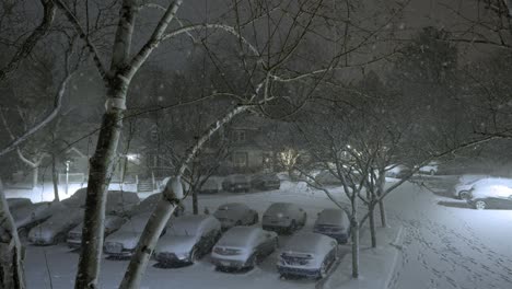 slow falling snowflakes on parking cars in the night, trees and branches covered as well, winter, static shot, neighborhood