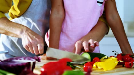 madre e hija cortando verduras en la cocina