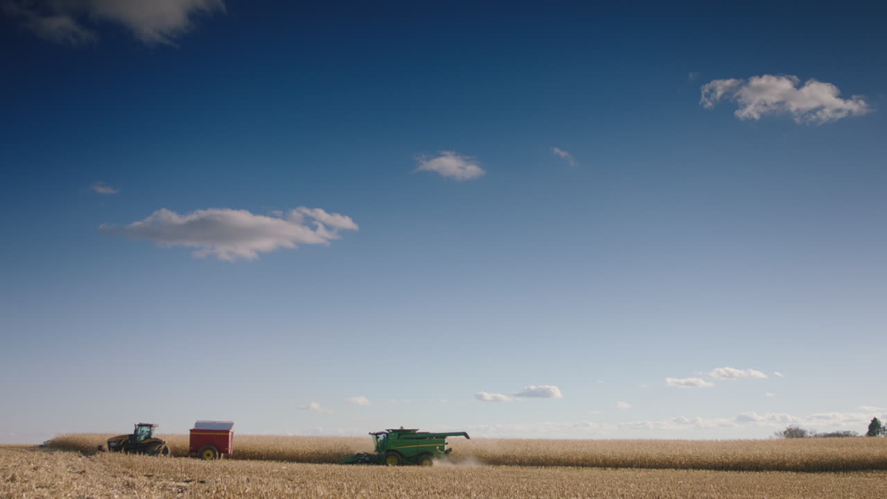 수확기,  ⁇ 빛의 날, 느린 영상