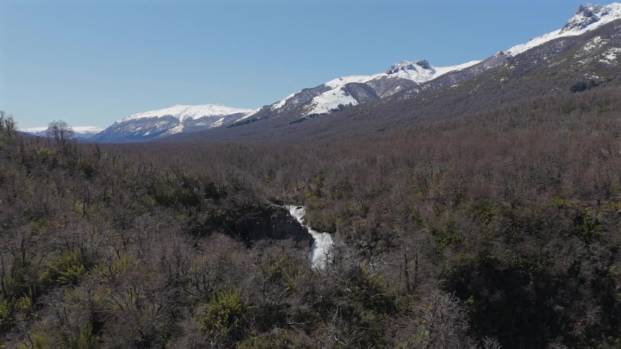 Ampia vista aerea della foresta andina che circonda la cascata Vuliñanco in un'area protetta della Patagonia