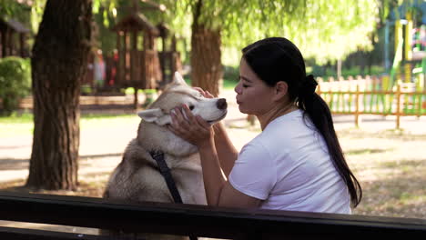 pet owner with dog