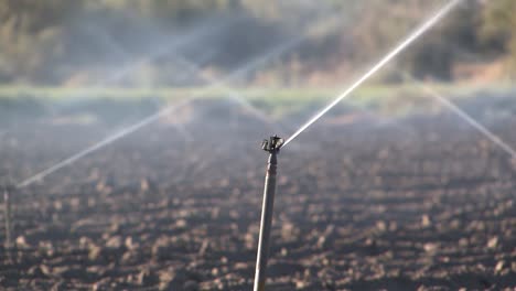 Close-up-of-Irrigation-Sprinkler-in-Southern-California,-USA-1