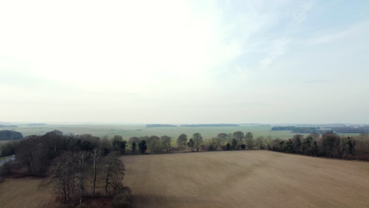 Aerial View of Field and Trees