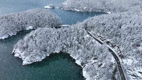 drone shot of washington state's oceanfront land with snow falling