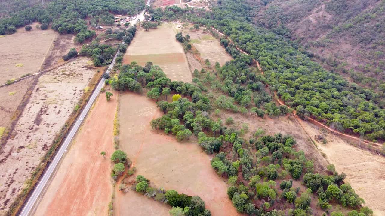 video del bosque, vista superior en el futuro