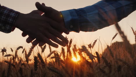 handshake over a field of wheat at sunset