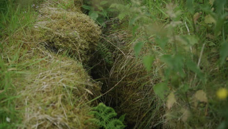 pan up over trench with ferns at coastal battery