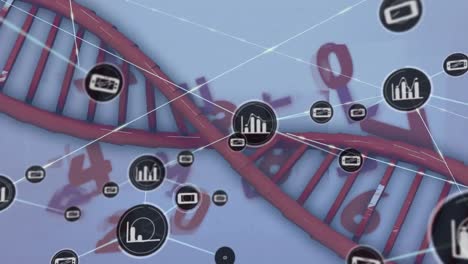 Animación-De-Redes-De-Conexiones-Y-Procesamiento-De-Datos-Sobre-Cadena-De-ADN-Sobre-Fondo-Blanco.