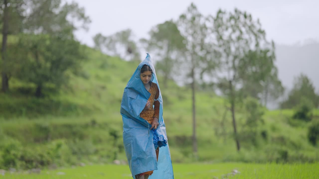 Indian woman farmer dressed in waterproof blue coat planting paddy in muddy field, monsoon farming scene, 4k video