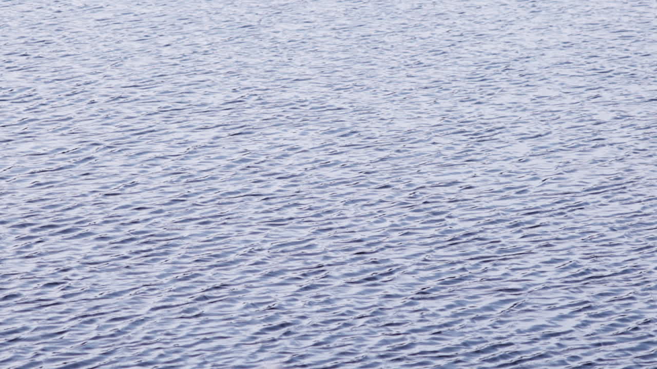 물 표면에 파동이 있습니다.