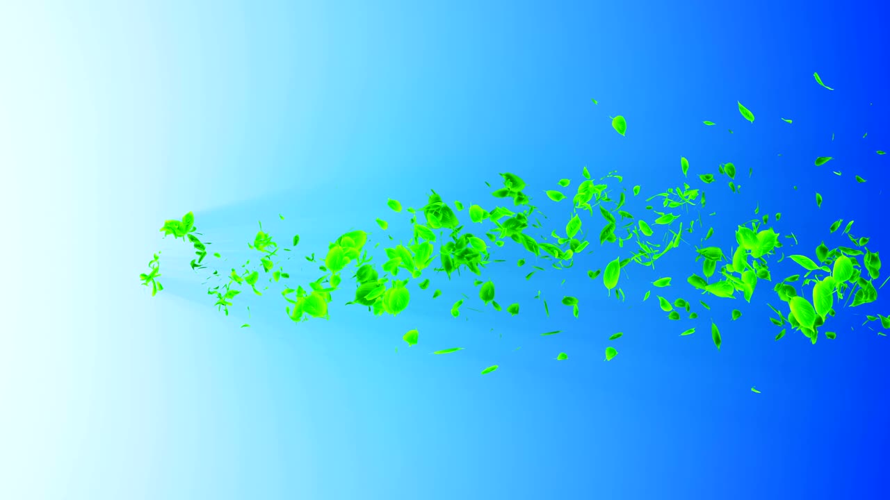 초록색 잎에서 나오는 소용돌이, 스피럴 모양의 반이는 계절 잎의 입자, 춤추는 잎, 다채로운 자연 터널 루프 애니메이션.