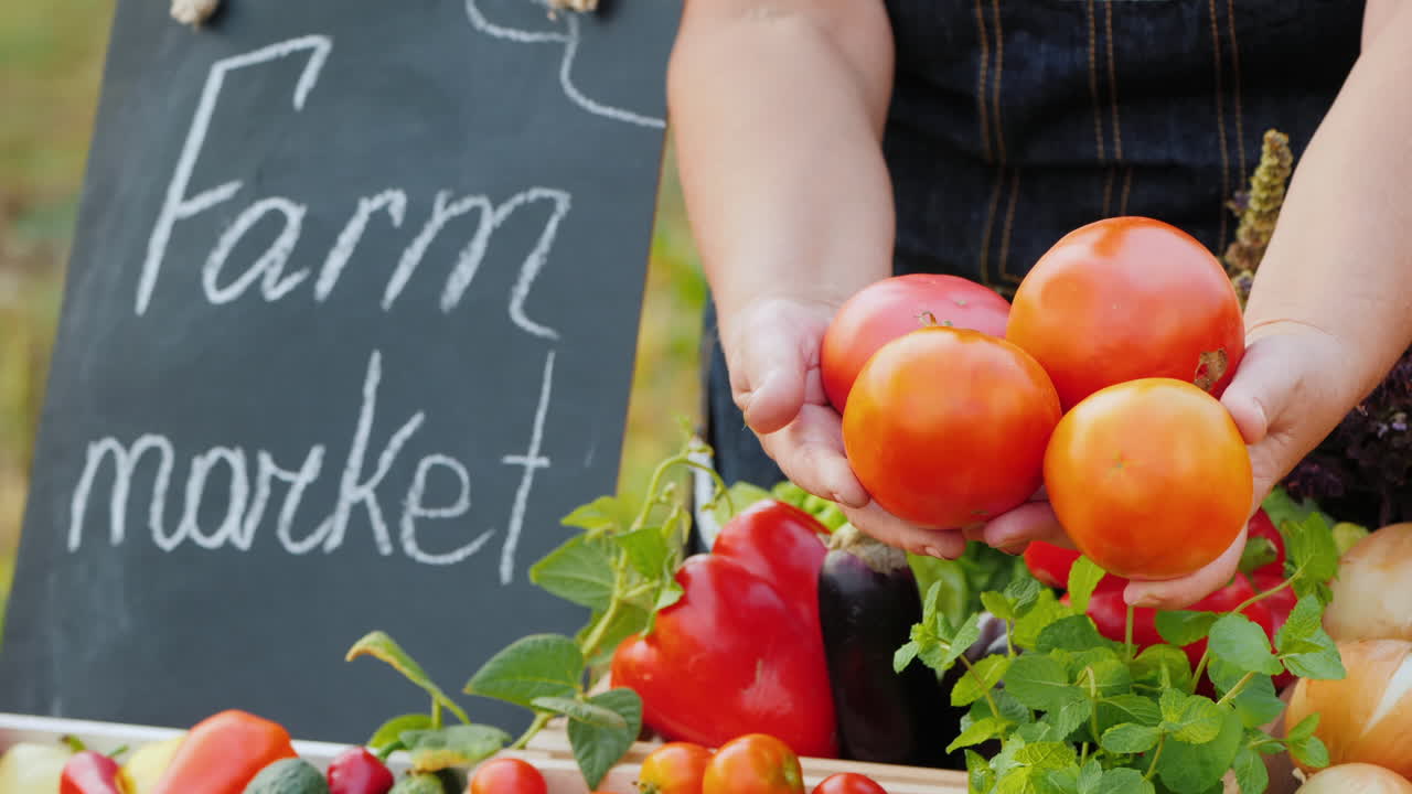 농부 어머니의 야채와 함께 카운터 위에 아름다운 토마토를 들고 노인 농부의 손