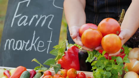 Hände-Eines-älteren-Bauern,-Der-Schöne-Tomaten-über-Einer-Theke-Mit-Gemüse-Bei-Einem-Bauern-Hält