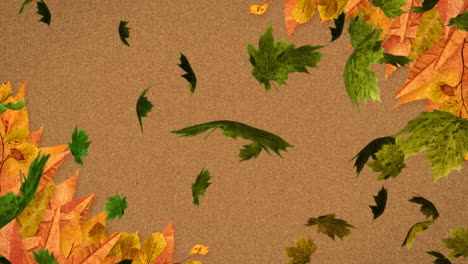 animation of multiple autumn leaves falling on brown background