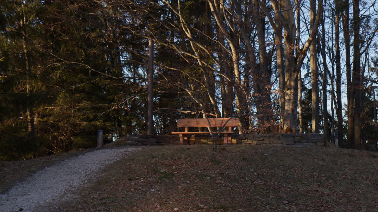 Lonely Bench At Sunset In Forest Park Near Bavarian Alps, Germany. Wide Shot