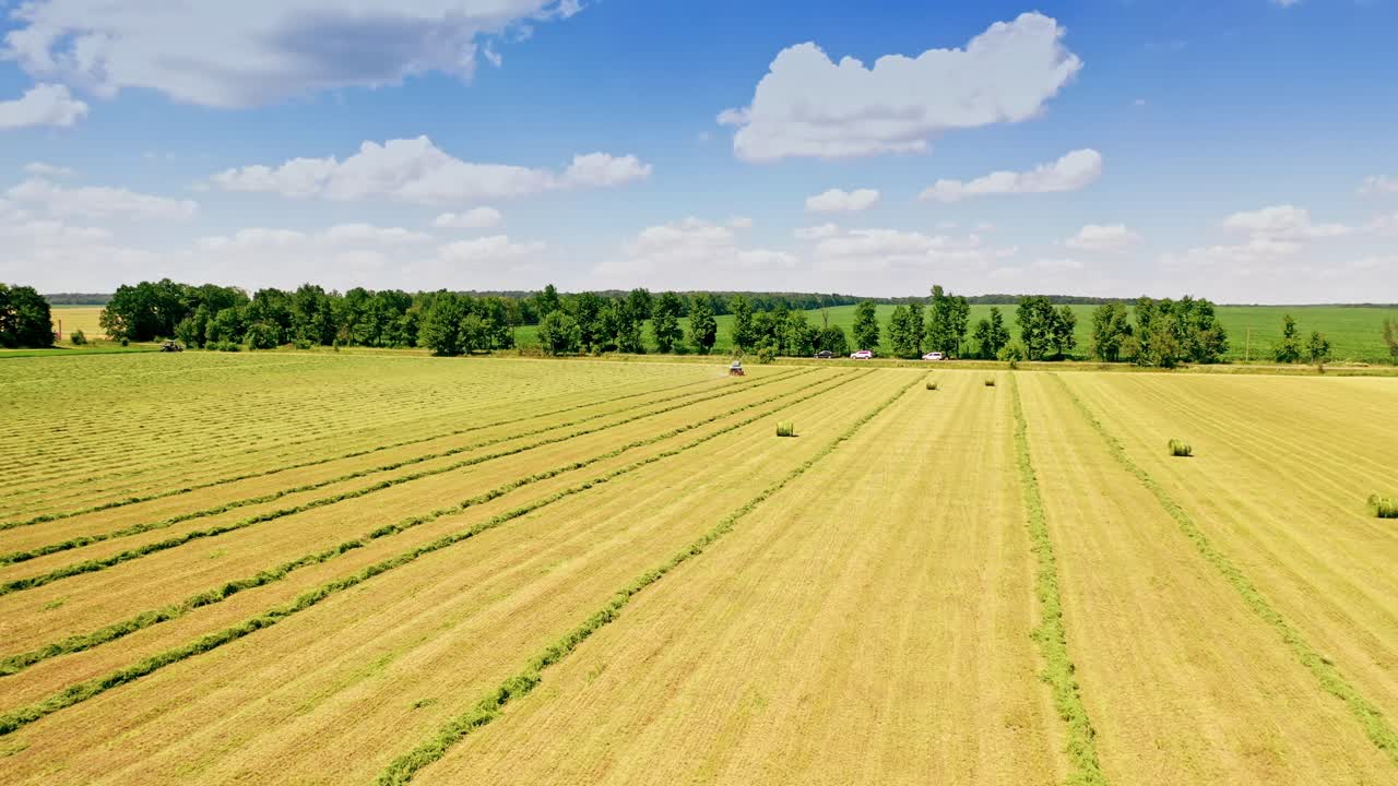 Drone view on the field in summer. Tractor riding on the grassland. Agricultural works in the countryside in sunny summer day. Motion camera straight ahead.