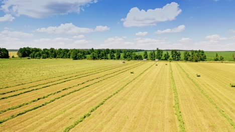 drone view on the field in summer. tractor riding on the grassland. agricultural works in the countryside in sunny summer day. motion camera straight ahead.