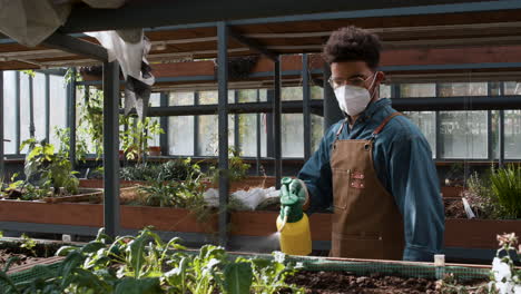 jardinero masculino que trabaja en el interior