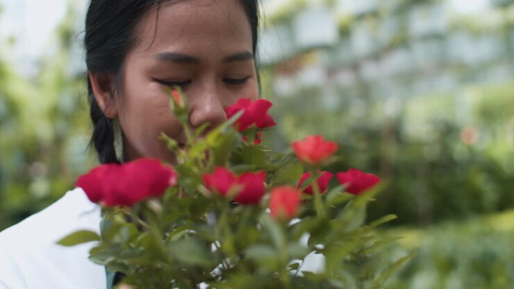 Gardener touching flowers