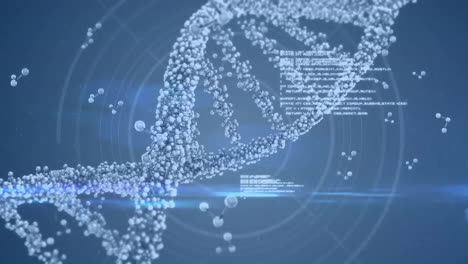animación del hilado de la cadena de adn y el procesamiento de datos sobre fondo azul