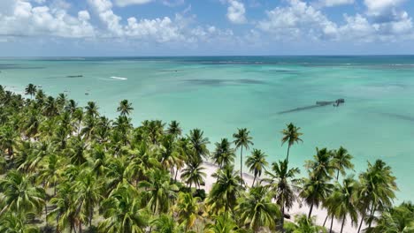 antunes beach at maragogi in alagoas brazil