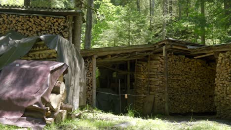 Verlust-Von-Feuerholz-Lagerschuppen-Auf-Einem-Gehöft