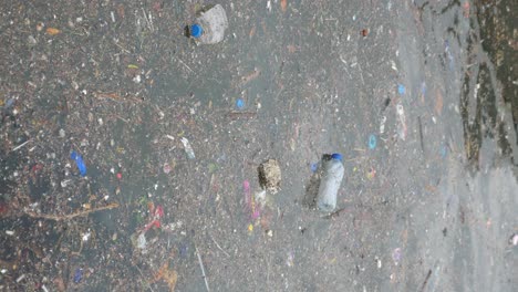 plastic and other garbage polluting a body of water