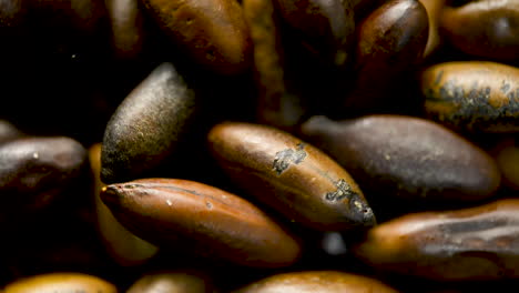 Close-up-of-baru-nuts-rotating