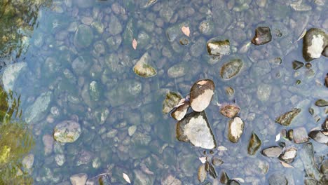 aerial view of a clear creek with visible pebbles and rocks, captured by a drone in natural lighting