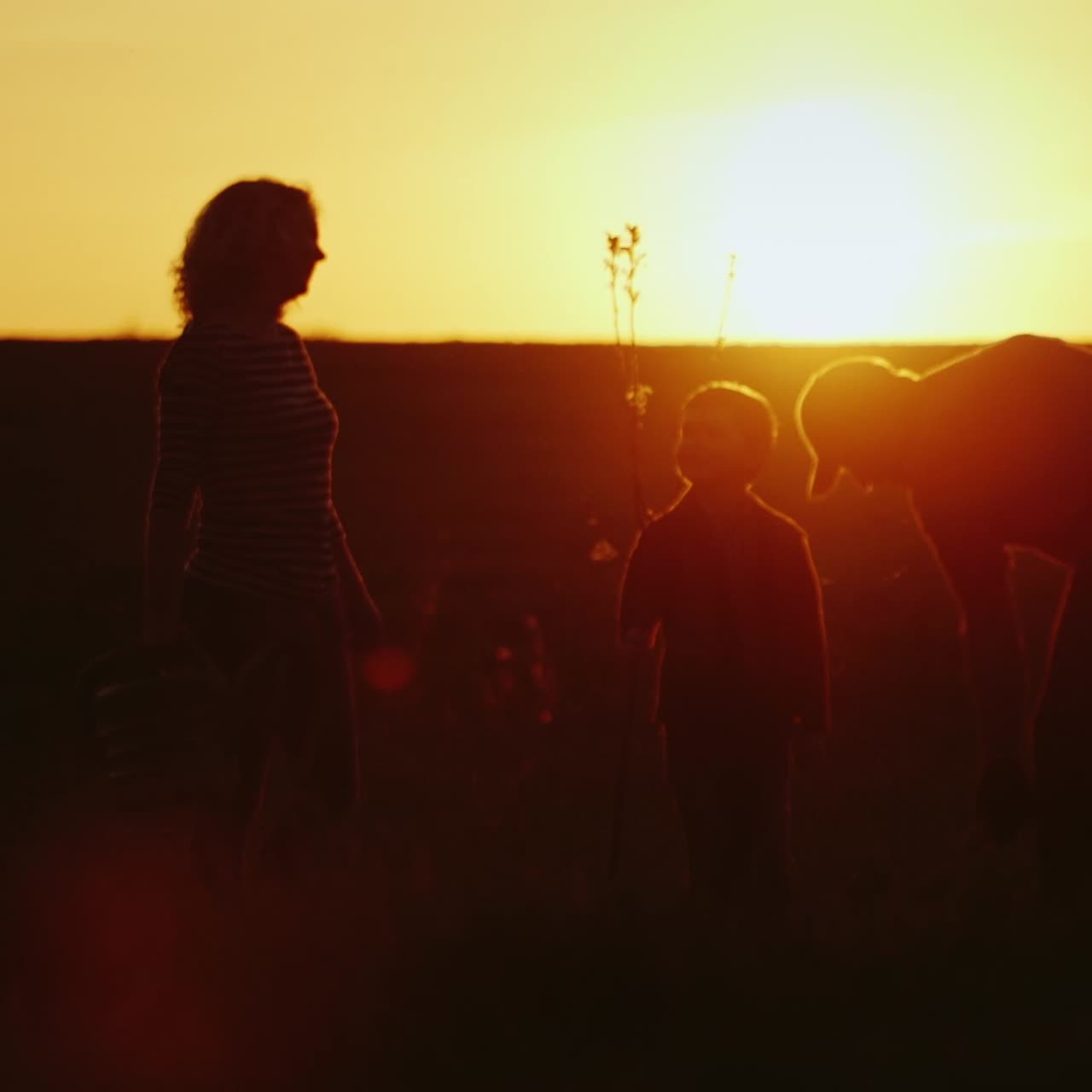 A Father With A Small Son Together Plant A Tree 1