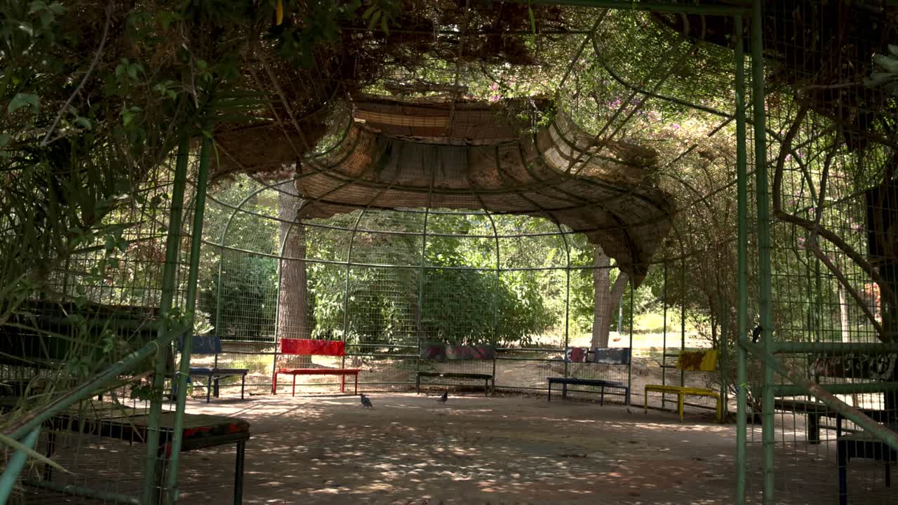 Scena di giardino tranquilla con panchine e vegetazione