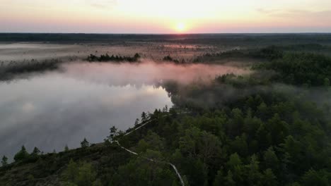 retiros aéreos de la niebla del amanecer sobre el pantanoso lago estonio de paukjarv