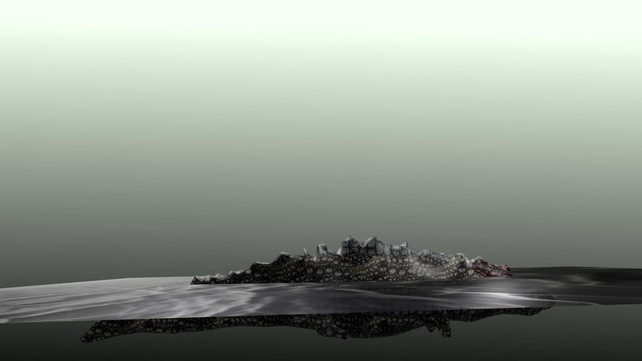 Crocodile in the Water