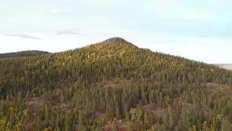 aerial survey shot flying towards scandinavian mountain peak abounding with pine trees and lush vegetation in the fall, in sweden, lapland