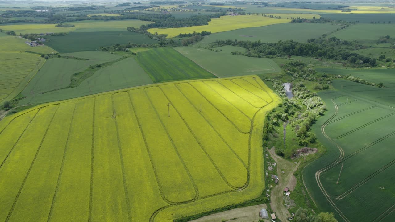toma aérea a gran altura de tierras de cultivo con campos de colza amarillentos y cereales - volando hacia atrás