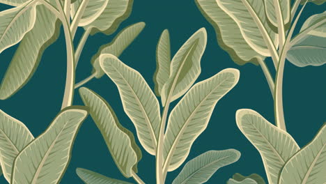 animation of tropical plant leaves on green background