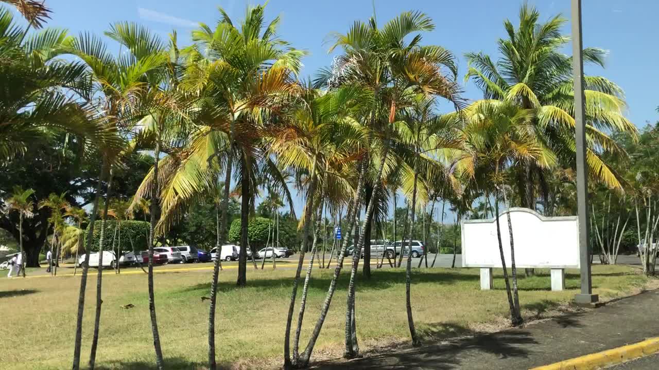 Dominican Republic Mission Trip Footage