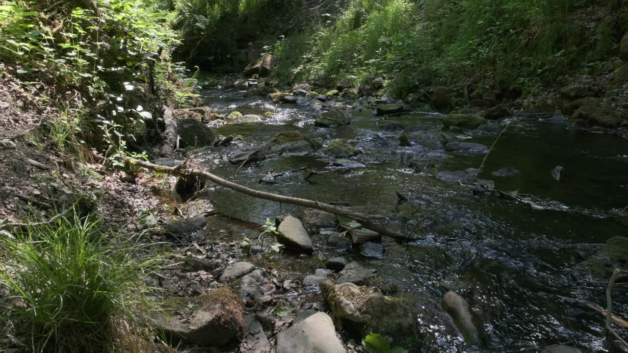 Water flowing down stream at Gorpley Clough woods, in West Yorkshire