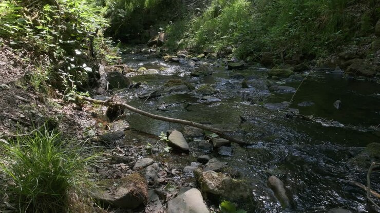 Water flowing down stream at Gorpley Clough woods, in West Yorkshire