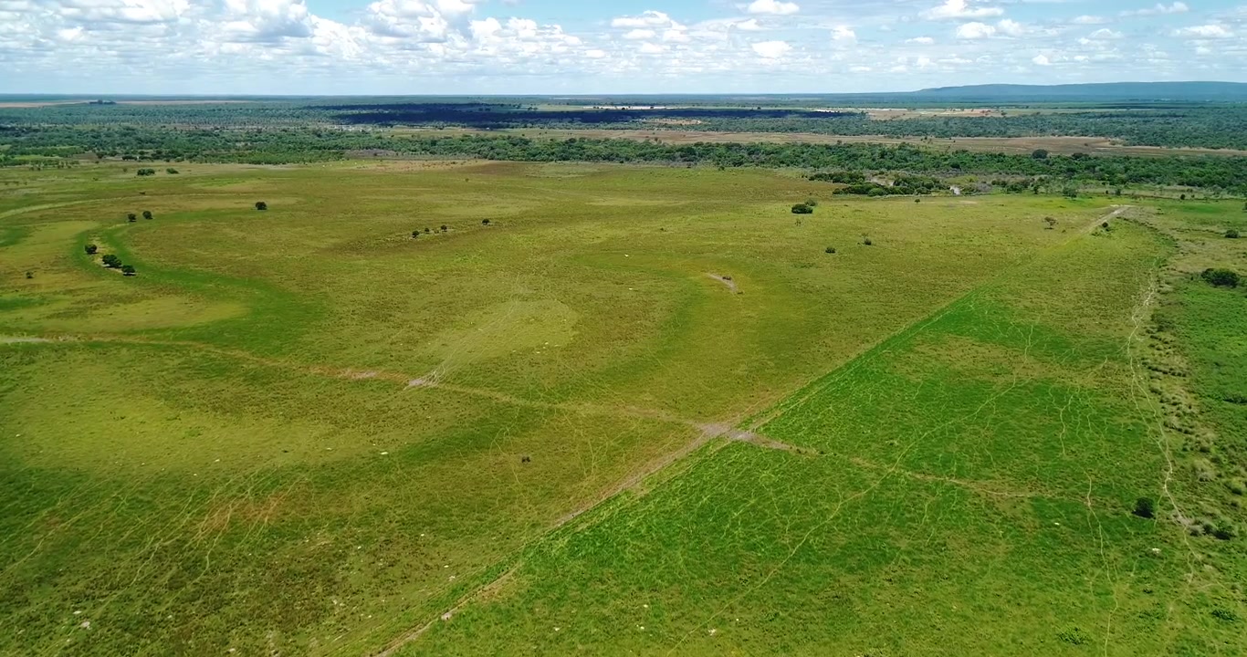 Open wet pasture and cerrado grassland used for cattle ranching near Arinos, Minas Gerais, Brazil with seasonal floodplain terrain and extensive grazing fields across the Urucuia Plateau drone flyover