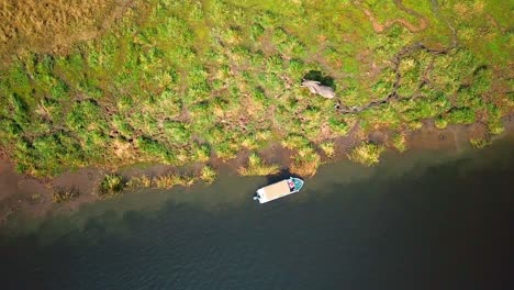 Ein-Einzelnes-Boot-Mit-Touristen-Hält-Am-Grasbewachsenen-Ufer-Des-Nils-Und-Beobachtet-Einen-Wilden-Afrikanischen-Elefanten,-Der-Auf-Der-Wiese-Weidet