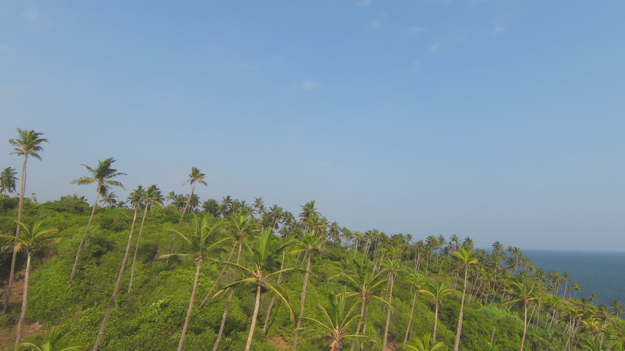 푸른 낙원, 스리랑카를 드러내는 야자수로 가득한 높은 녹색 정상 위로 fpv 상승