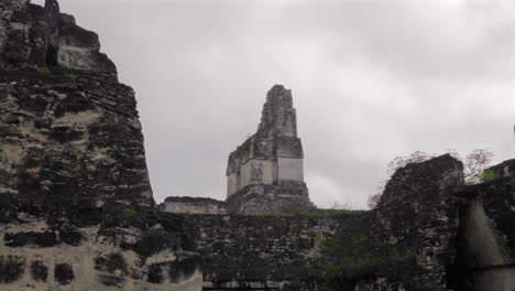 zoom in great jaguar temple pyramid top. tikal national park. mayan archaeological ruins. guatemala