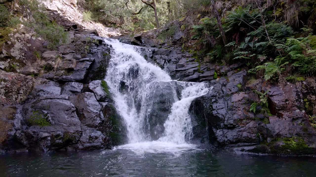 la hermosa cascada de las cataratas forth en wilmot, tasmania, australia