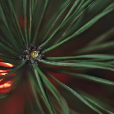 magic holiday abstract glitter background