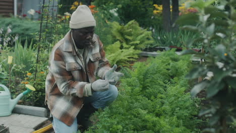 man tending to plants in a garden