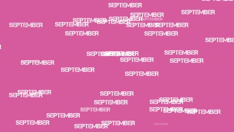 september text animation falling on pink background.rain of text cartoon animation