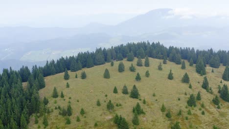 drone shot of forested mountain slope in the mist at sostanj, slovenia