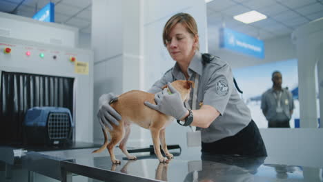airport security check with a dog