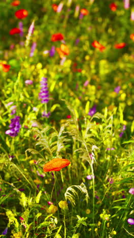 flores silvestres coloridas en un prado